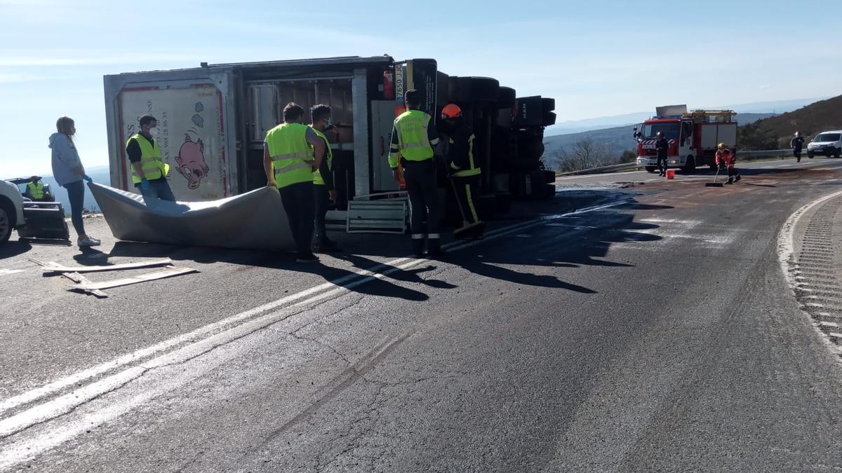 El camión que volcó transportaba medio millar de cerdos a Bélgica