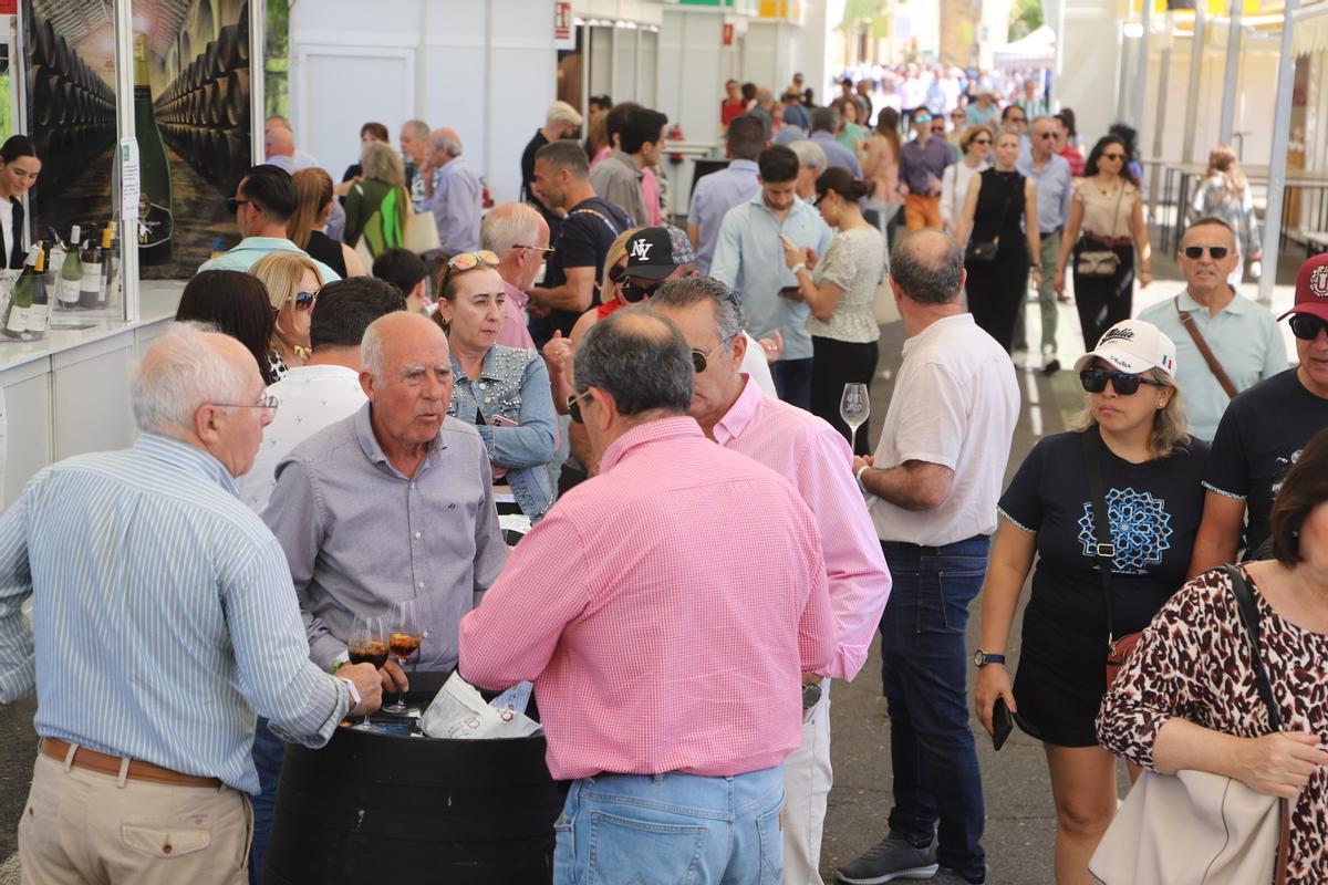 Sábado de Cata del Vino en Córdoba, en imágenes