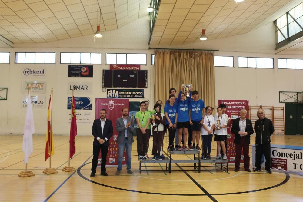 Final Regional de bádminton de Deporte Escolar