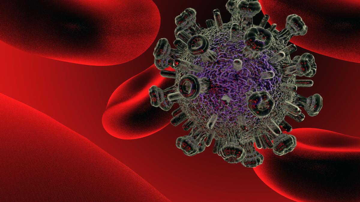 Científicos comprueban que la combinación de vacunas es clave frente al sida.