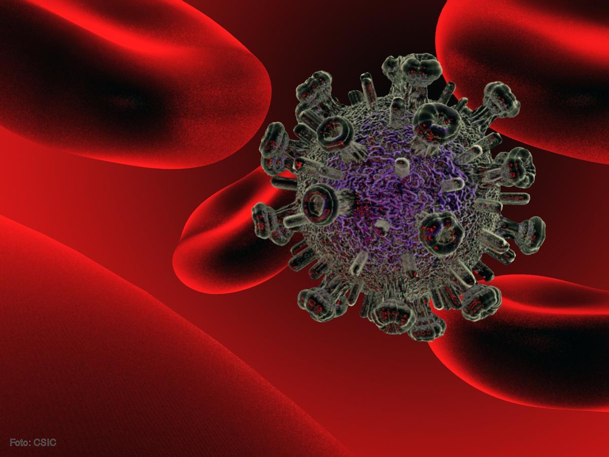 Científicos comprueban que la combinación de vacunas es clave frente al sida