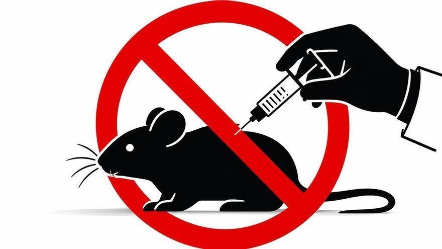La UE cambia las normas de los productos de limpieza: los detergentes ya no se podrán testar en animales