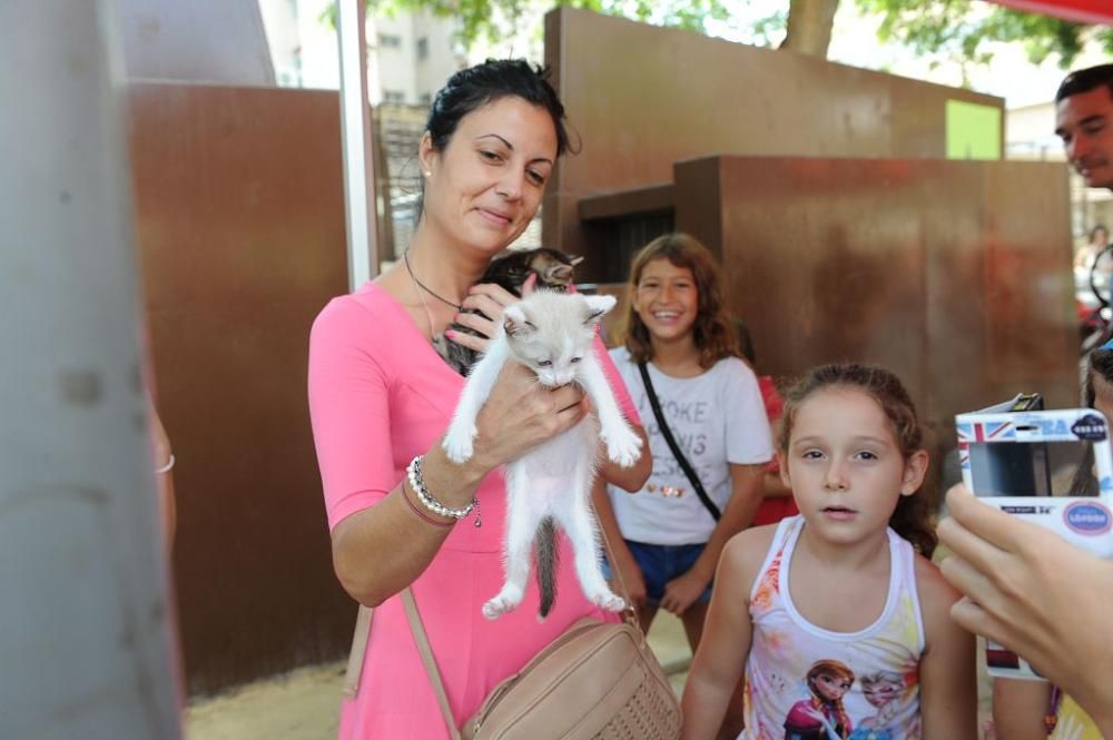 Muestra de mascotas en La Fama