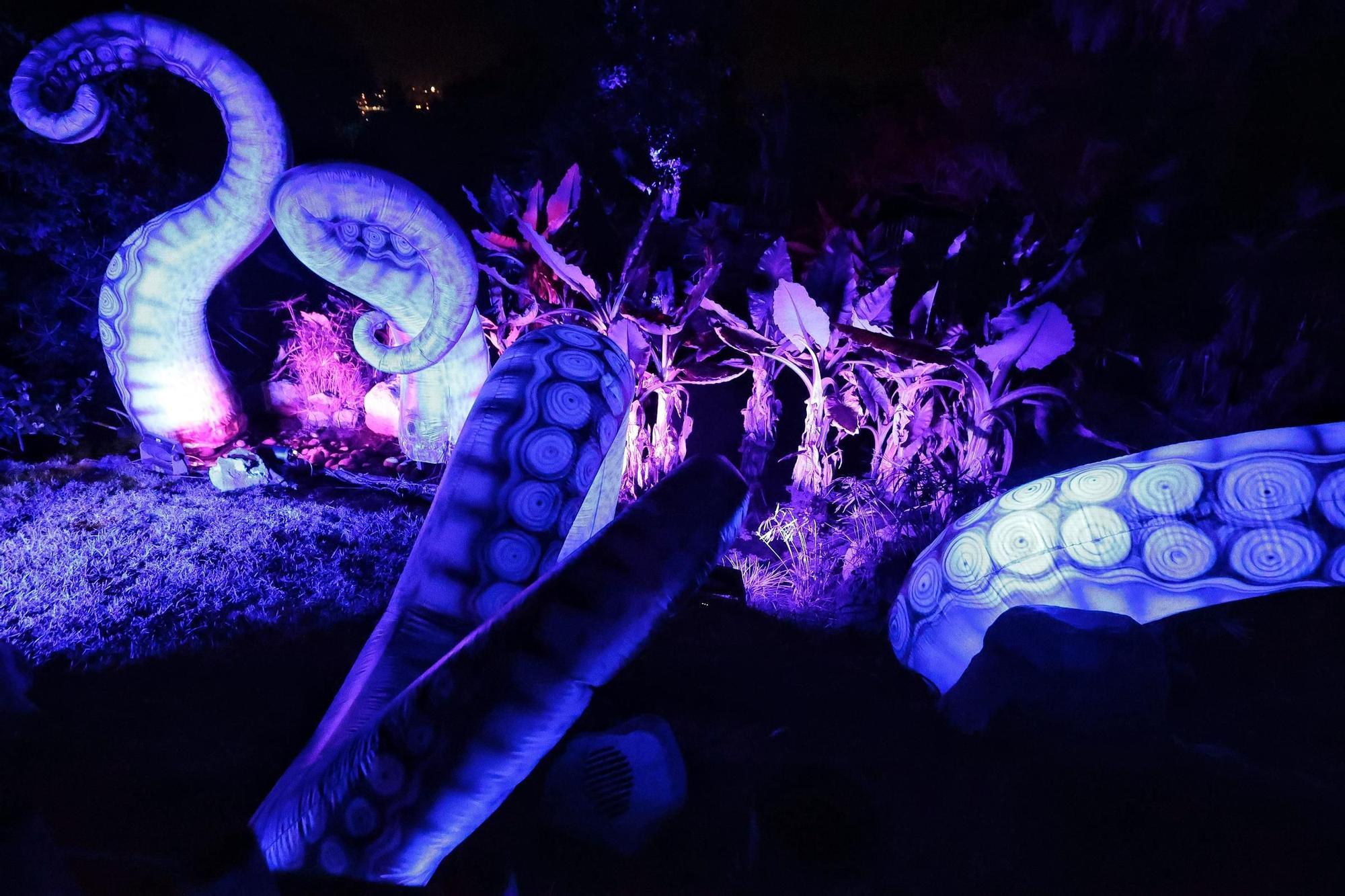 Montaje de Naturaleza Encendida en el Palmetum