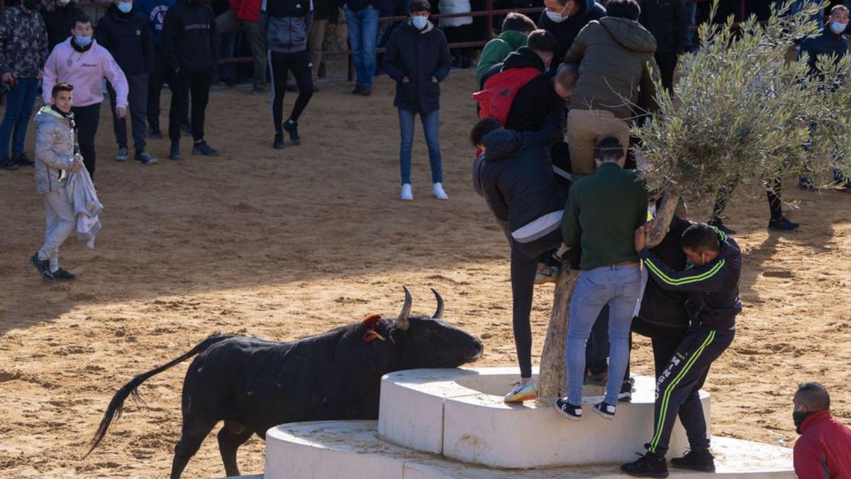 Gran bienvenida taurina en Villalpando