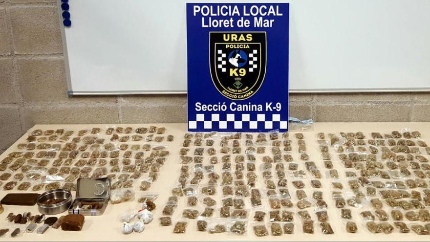 La unitat canina de la Policia de Lloret posa 426 multes per tràfic de drogues el 2017