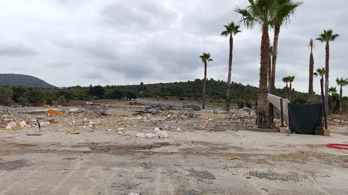 Las palmeras son el único elemento que prácticamente sobrevivirá de la antigua discoteca.