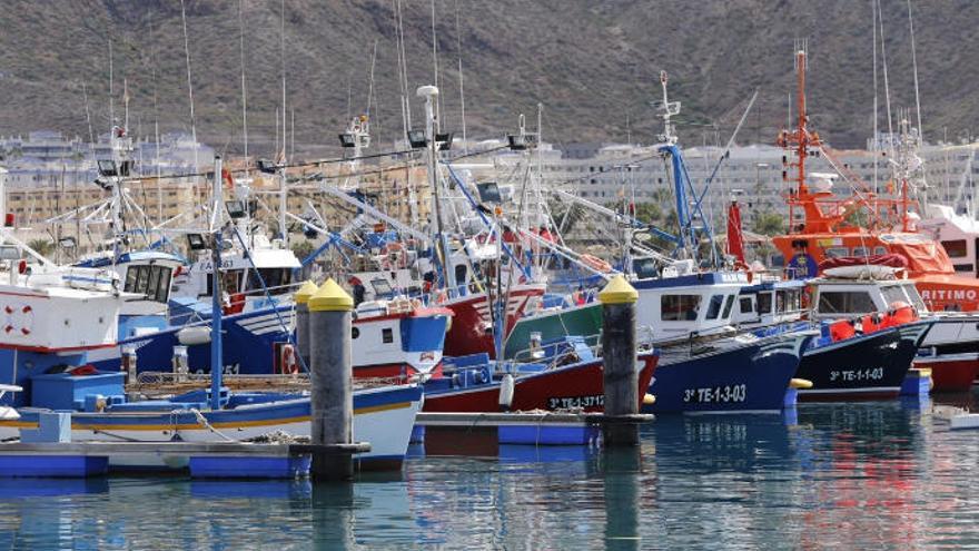 Embarcaciones atracadas en un puerto de Canarias.