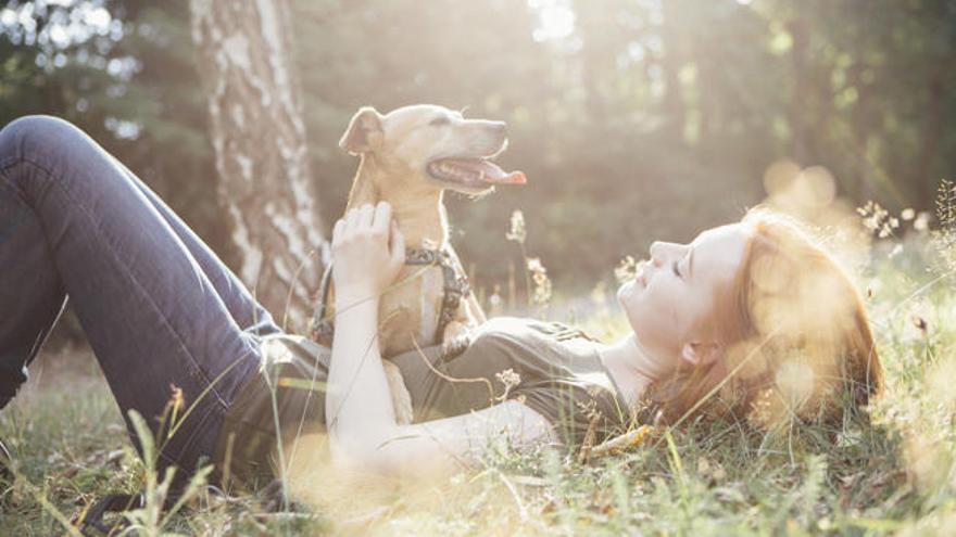 Imagen de archivo de una mujer con un perro.