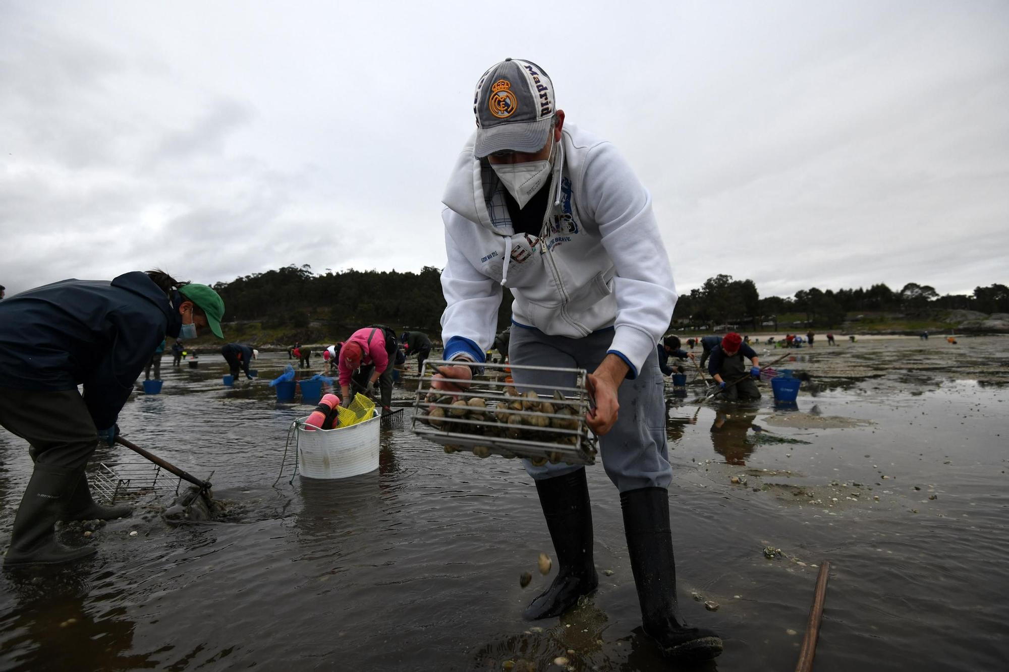 Las mariscadoras vuelven a faenar