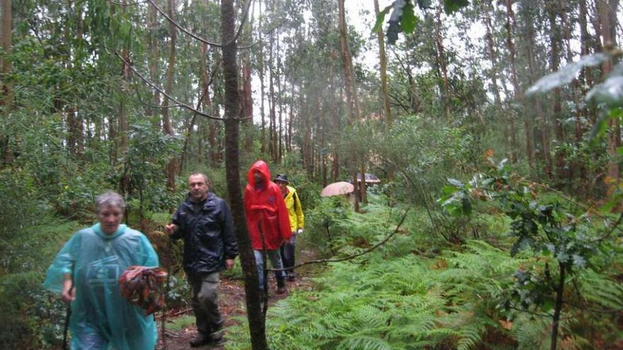 Ruta de senderismo por los montes de Darbo. // G.N.