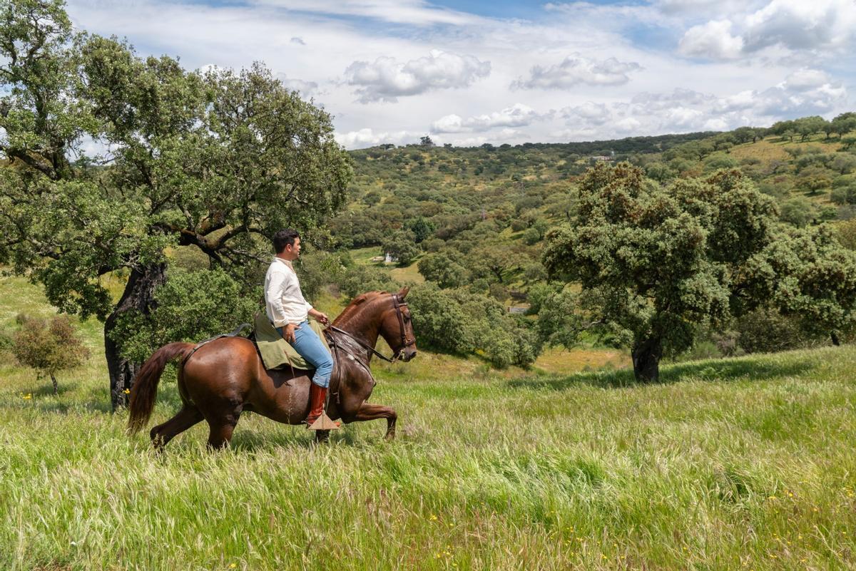 A caballo por los alrededores de Fregenal de la Sierra.