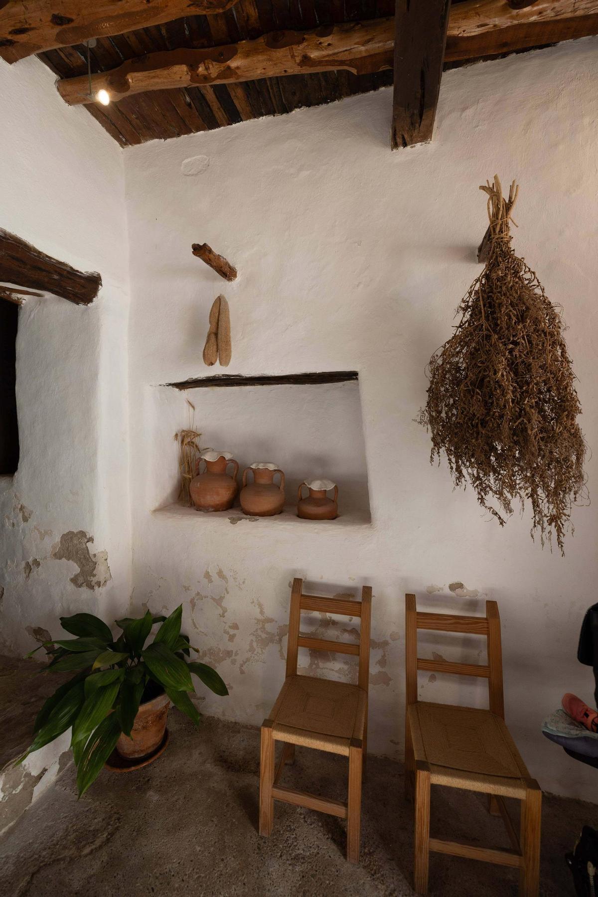 Visita guiada al entorno de Can Planetes en Santa Eulària