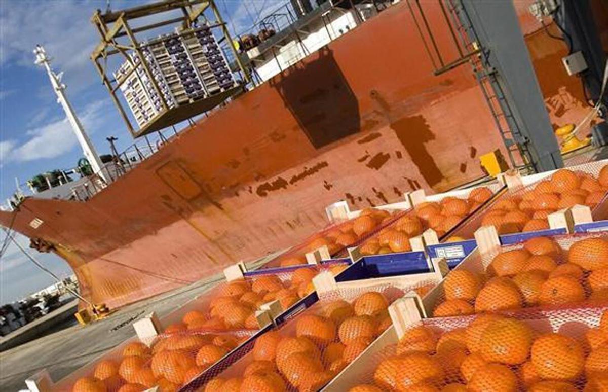 Puerto de Castellón. exportaciones de cítricos. naranjas
