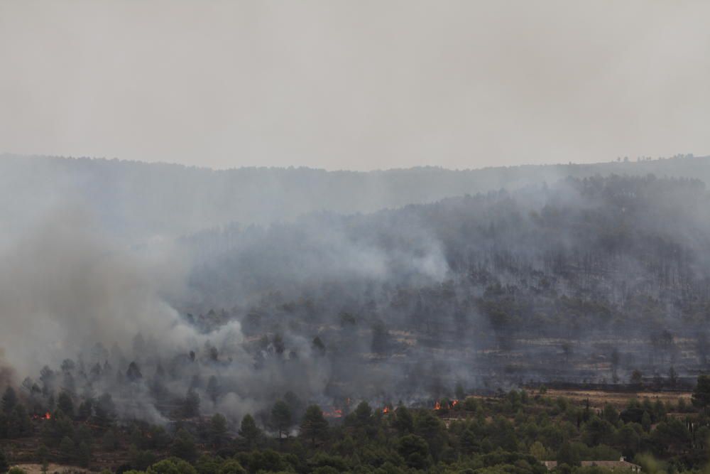 Así fue el incendio de Torremanzanas (agosto,2012)