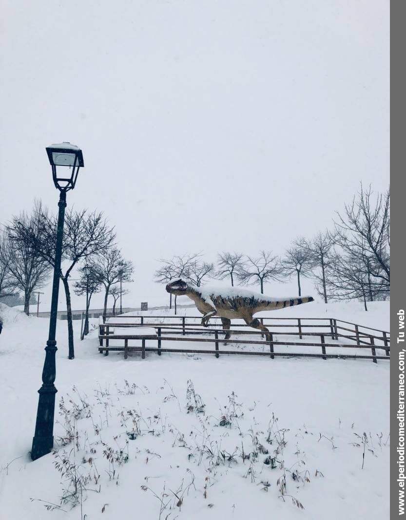 Espectaculares imágenes de las nevadas