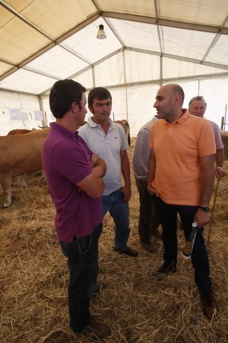 Feria de ganado de Manzaneda, en Gozón