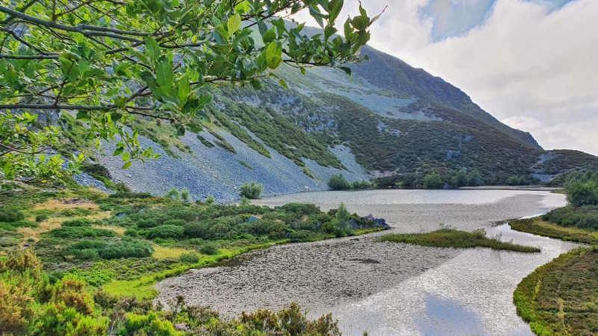 LAGUNA ARBAS