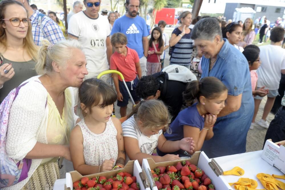 Fiesta de la Fresa 2016 en Eirís