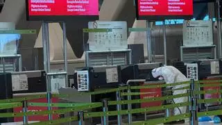 "La guerra de los chinches" en el Aeropuerto de Madrid: AENA niega una plaga, pero fumiga en la T4