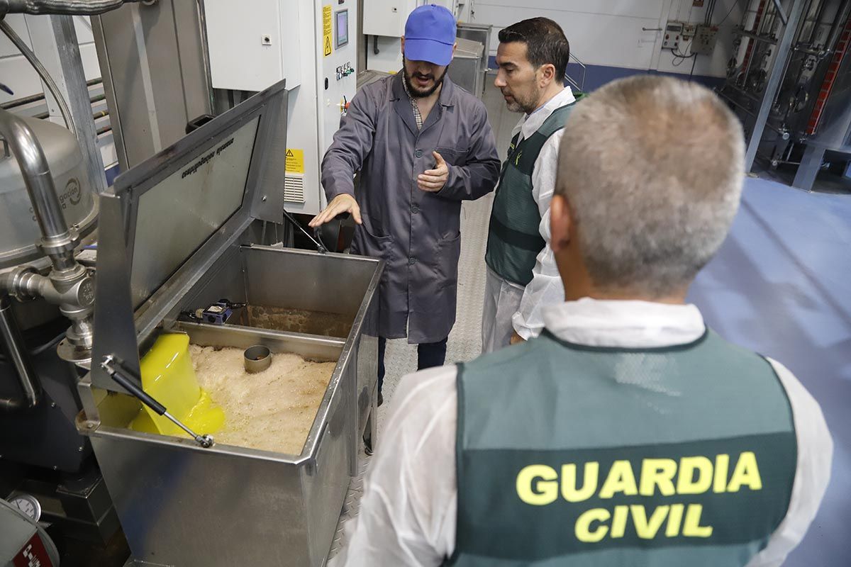 El dispositivo ROCA de la Guardia Civil en acción: control en una almazara