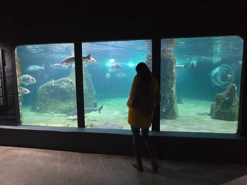 Las instalaciones del Acuario O Grove, en Punta Moreiras.