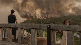 «En estado muy grave» uno de los tres brigadistas heridos en los incendios de Oímbra, de 18 años: han sido trasladados a Quemados de A Coruña