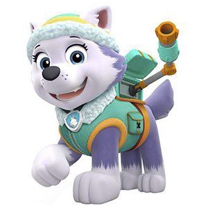 Everest, la nueva incorporación a Paw Patrol