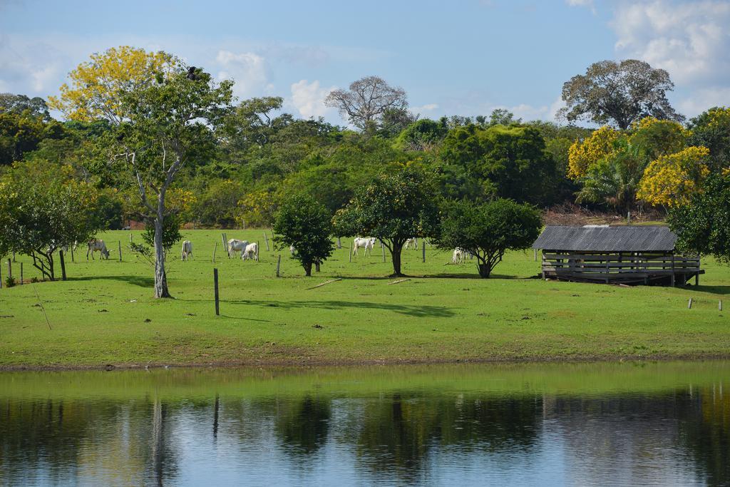 Las granjas de Bolivia