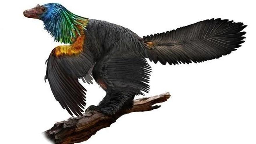 El vuelo de un dinosaurio en forma de pájaro con un &quot;collar&quot; de plumas arcoiris