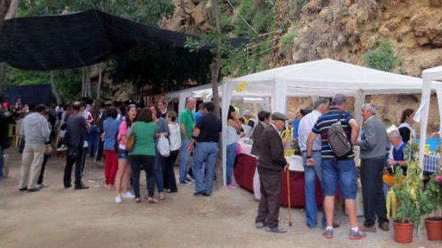 Viver celebra este fin de semana la 17ª edición de la Feria del Aceite