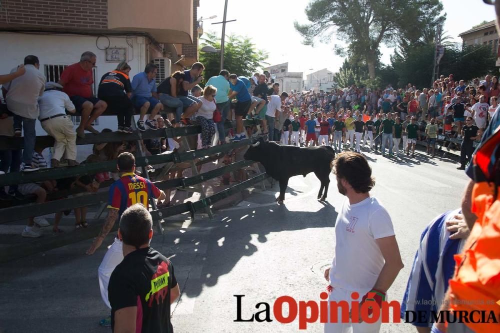 Primer encierro de Calasparra