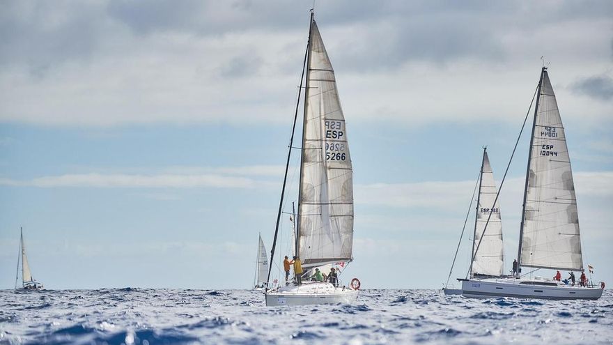 A total of 35 boats will color the bay of Santa Cruz
