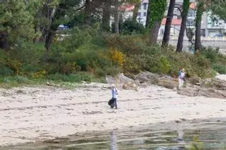 Retirar basura marina en Sálvora y eliminar plantas invasoras, objetivos de Plancton