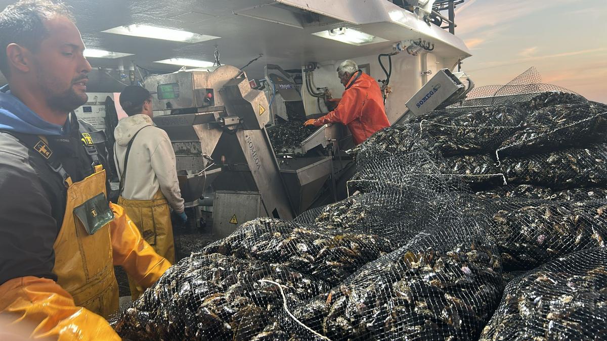 Bateeiros preparando sacos de reparqueo, ayer.