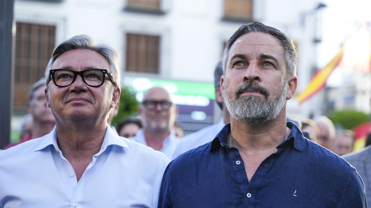 Elecciones en Andalucía: ¿El primer gran pinchazo de Vox?