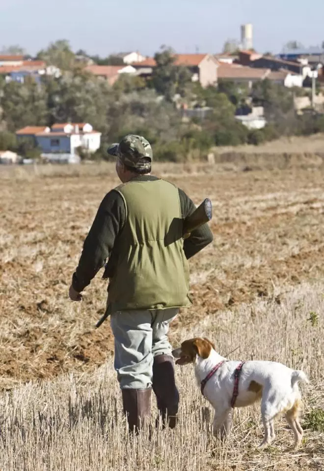 Aprobado el decreto que regula la conservación de especies y salva la temporada de caza