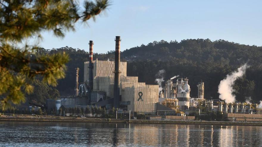 La fábrica de Ence en Lourizán.