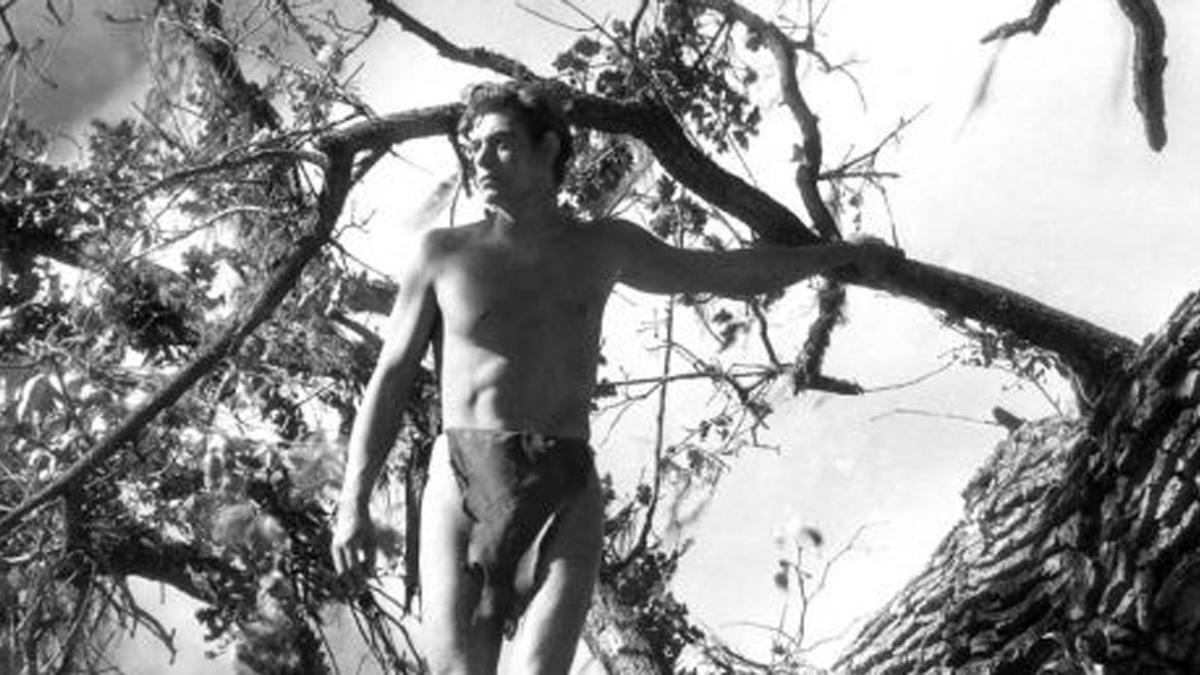 La trayectoria deportiva de Johnny Weissmuller comenzó a decaer a la par que emergía su figura en las pantallas de cine saltando de liana en liana interpretando a Tarzán.