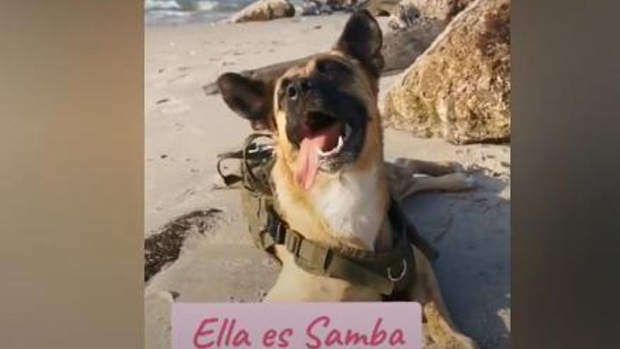 Samba la gosseta