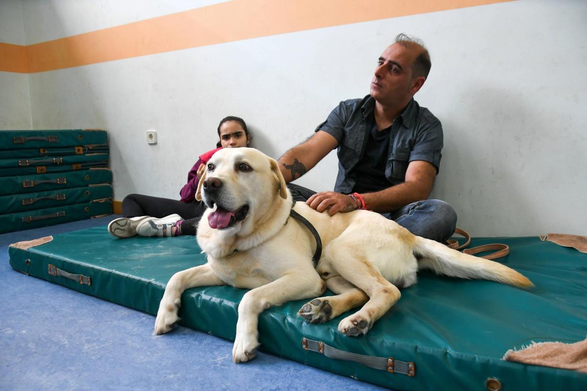 Terapia con perros en el colegio Virgen del Castillo de Zamora