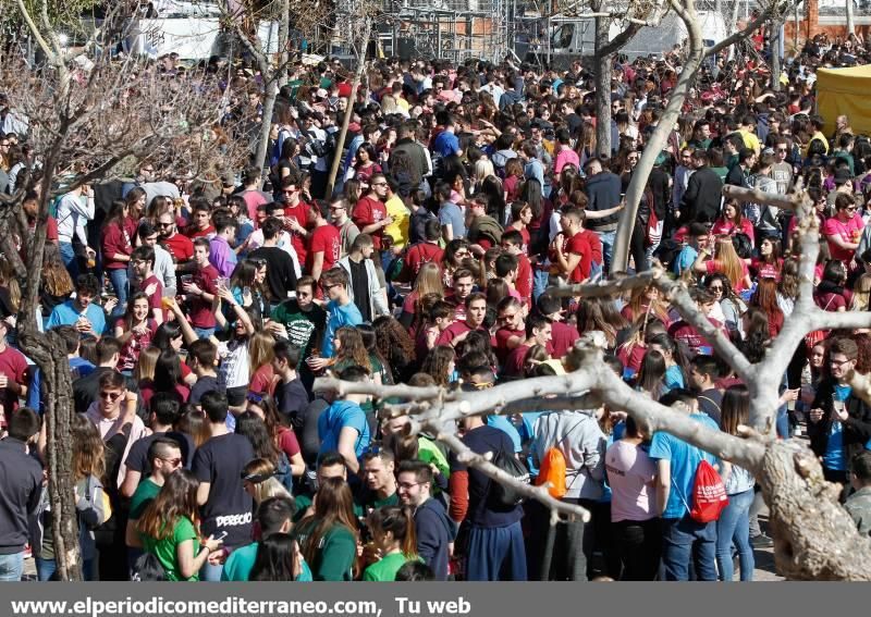 Fiesta paellas