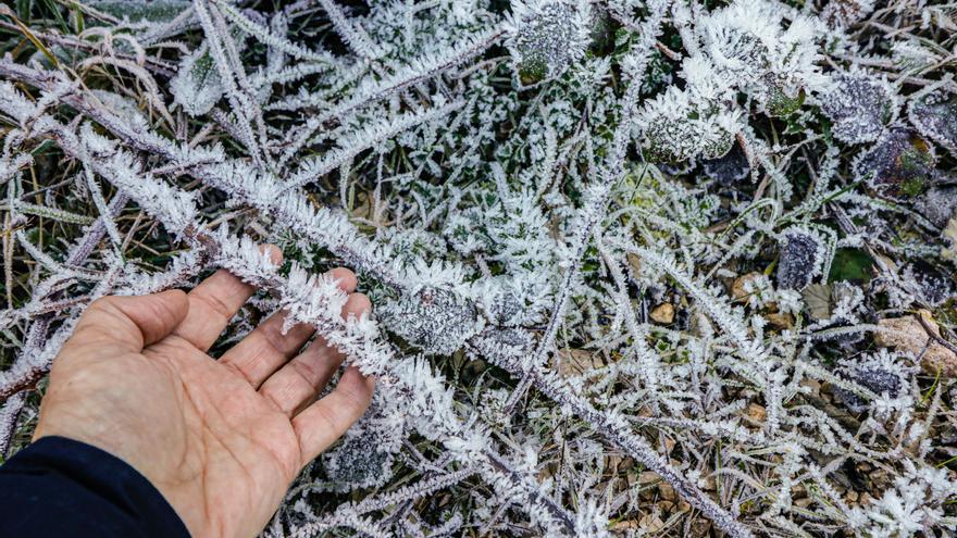 El interior de Alicante registra mínimas de hasta -5,6 grados en una noche heladora