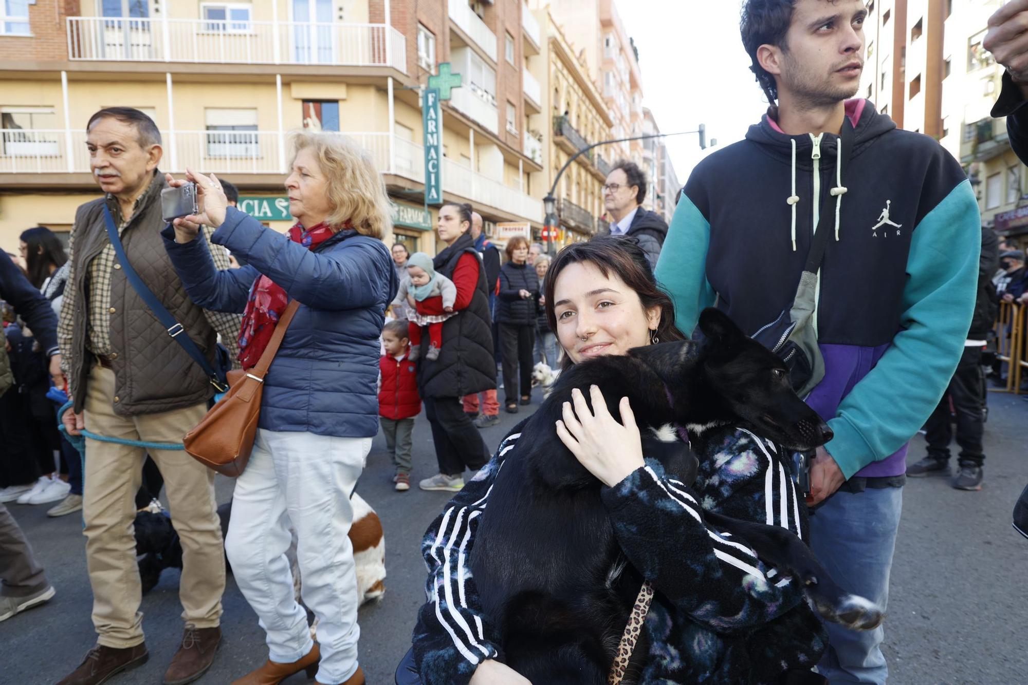 Búscate en la bendición de animales de Sant Antoni de València