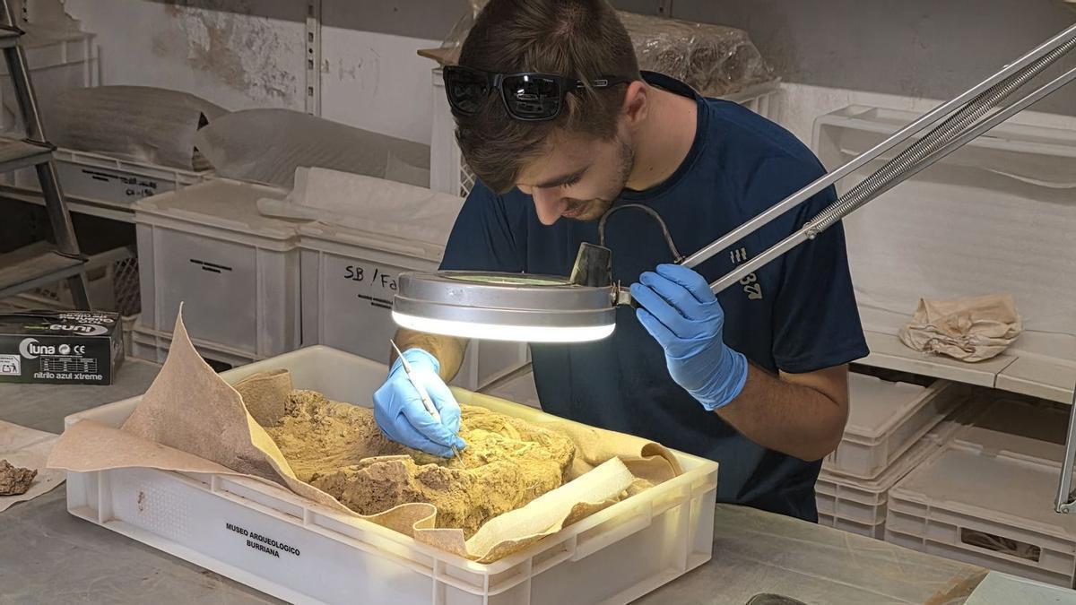 La Universitat Jaume I y el Museo Arqueológico Municipal de Burriana impulsan una masterclass práctica de arqueología funeraria.