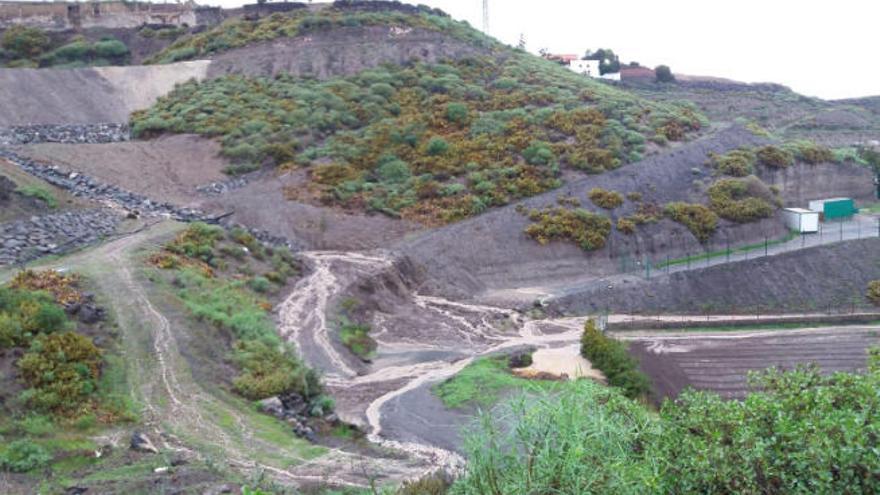 Dos granjas con 15.000 pollos y 150 vacas quedan aisladas en Tenoya