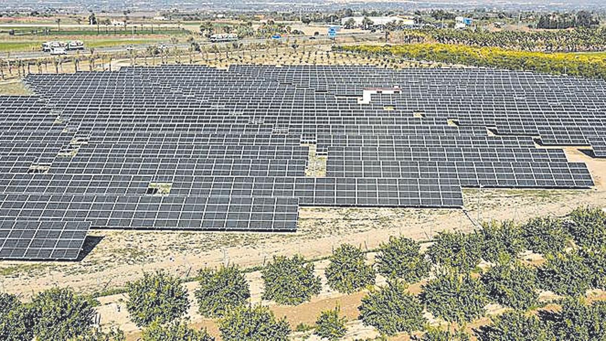Terrenos en Catral (Vega Baja) donde se ha instalado una fotovoltaica.