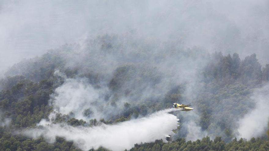 España ya supera las 207.000 hectáreas quemadas por los incendios: cuatro veces más que la media de los últimos 15 años