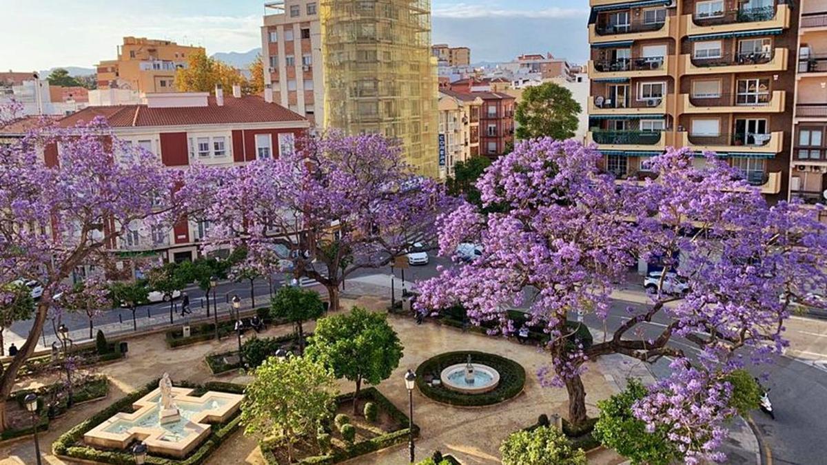 El antiguo Jardín de los Monos, al atardecer, el pasado martes.