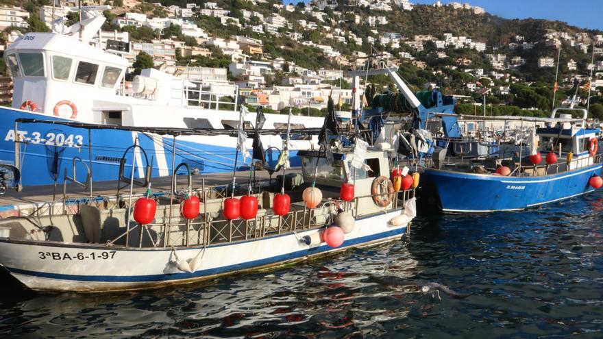 Aproven el pla de gestió de la pesca artesanal a cap de Creus que fixa un cens de 27 barques professionals autoritzades